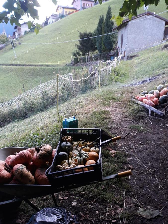 Graziosa, Casetta In Valgerola Rasura Extérieur photo